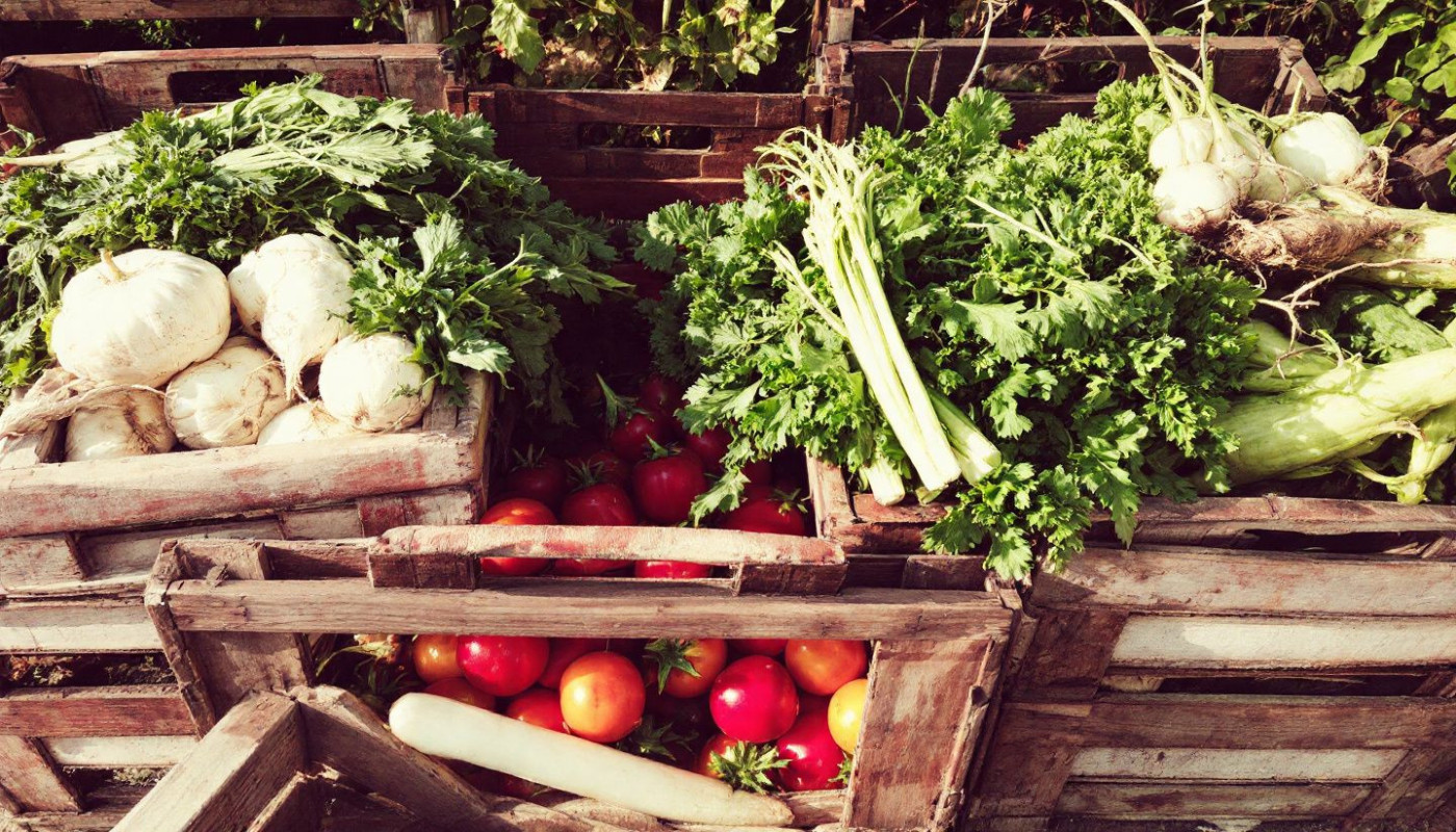 Cultiver des légumes anciens pour un potager diversifié